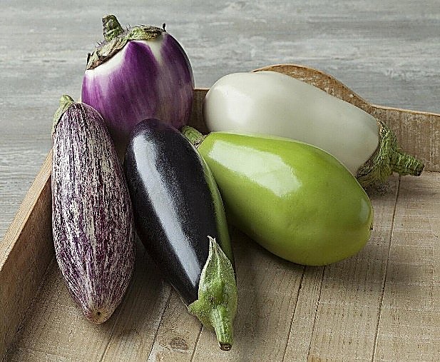 Aubergine — détail