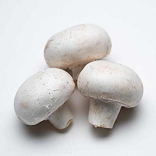 Champignon de Paris