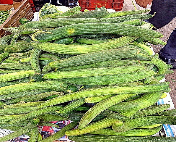 Feggous / concombre marocain